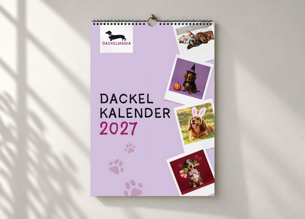 Dackel Kalender 2027